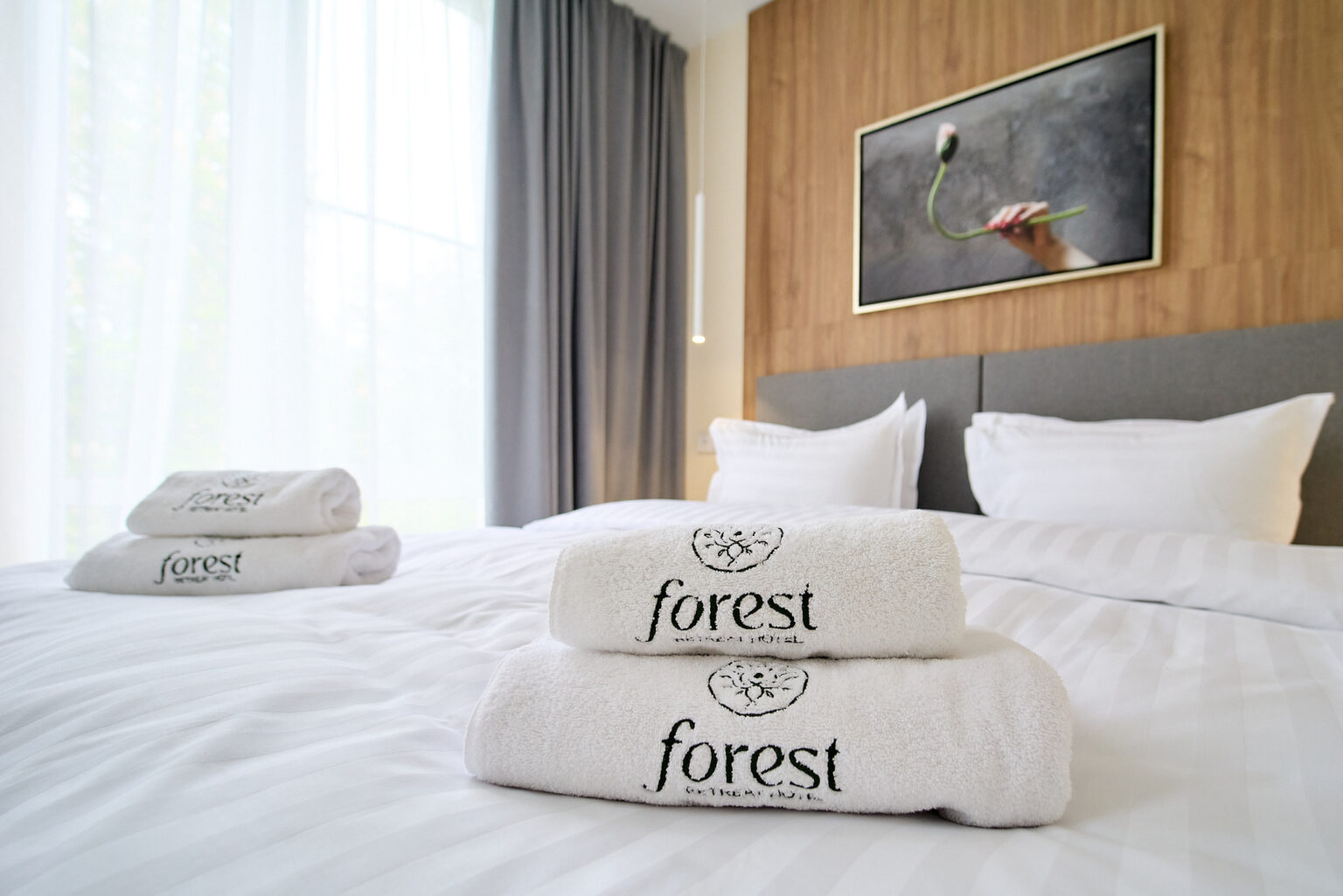 Forest Inclusive номер фото 10
