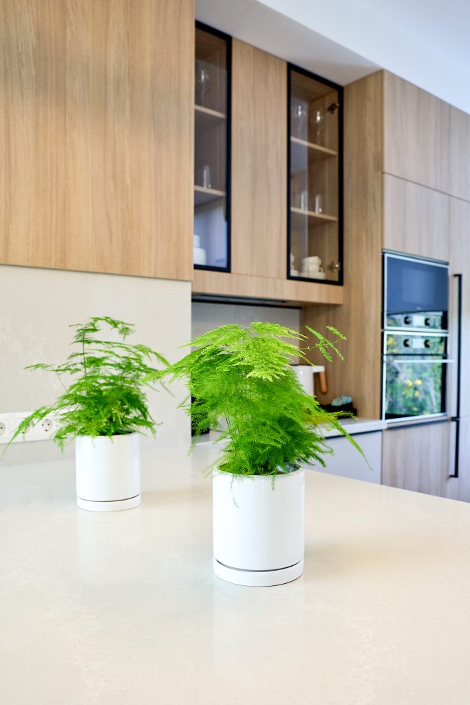 Номер Forest Люкс (4 поверх) фото 9